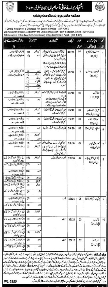 Fisheries Department Punjab Jobs