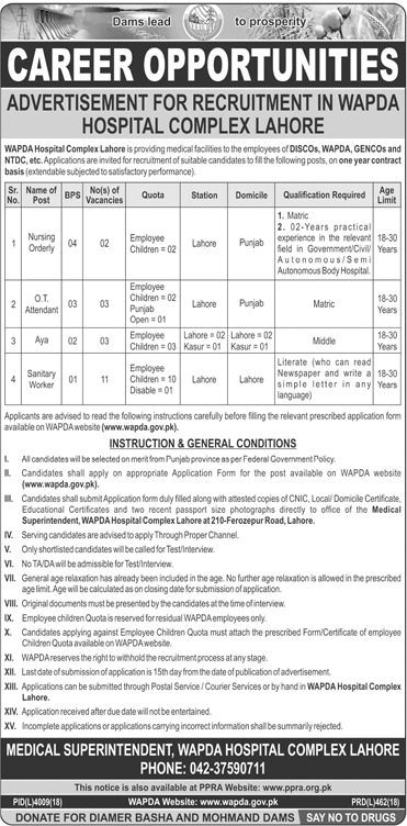 WAPDA Hospital Complex Lahore Jobs